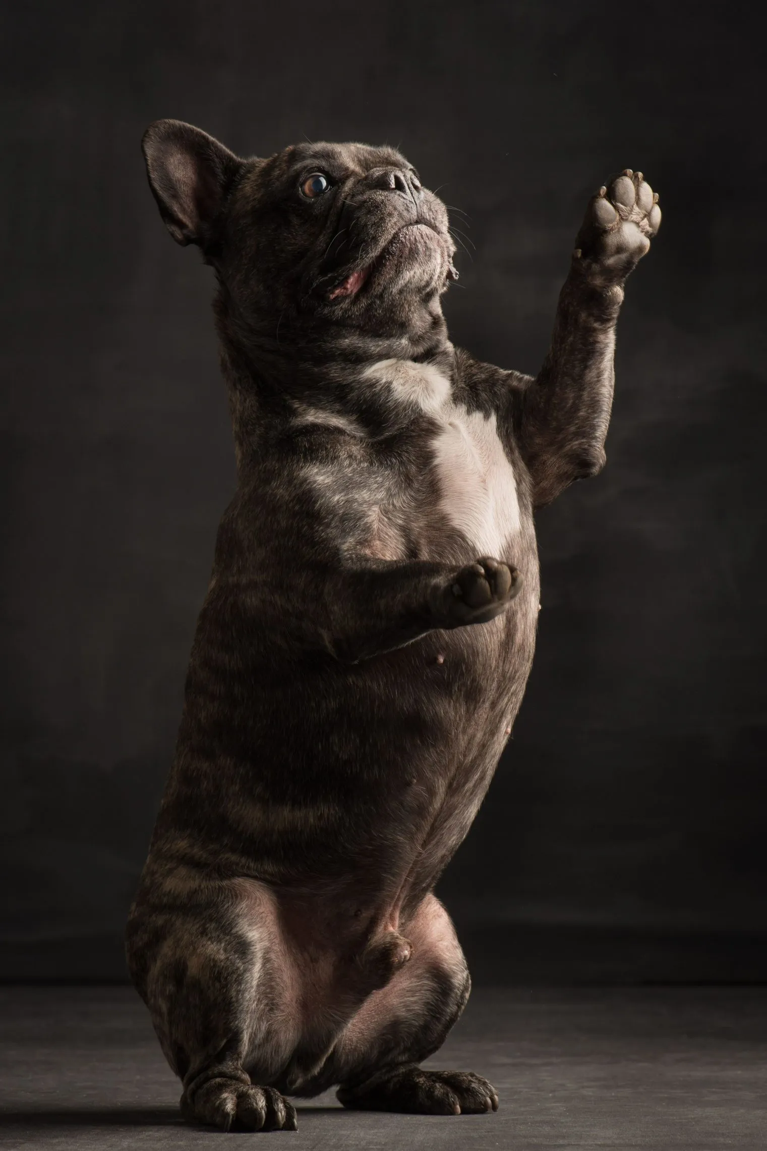 Paul Croes Shooting