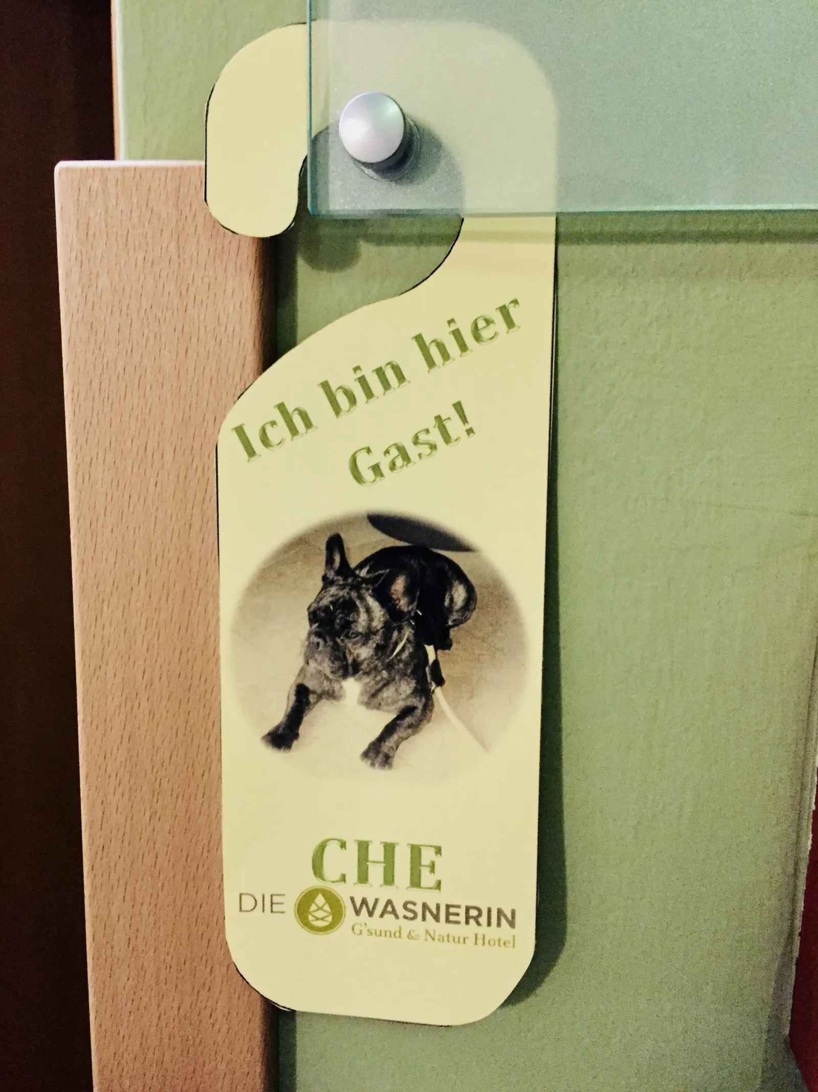 Hunde Türschild