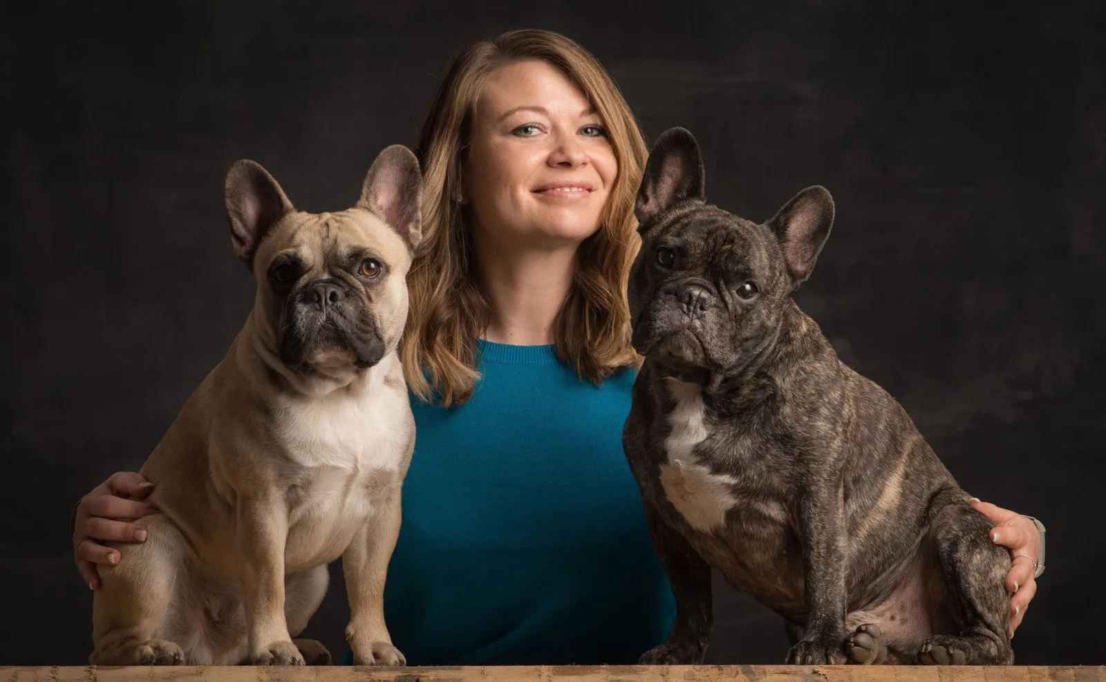 Hunde Fotoshooting