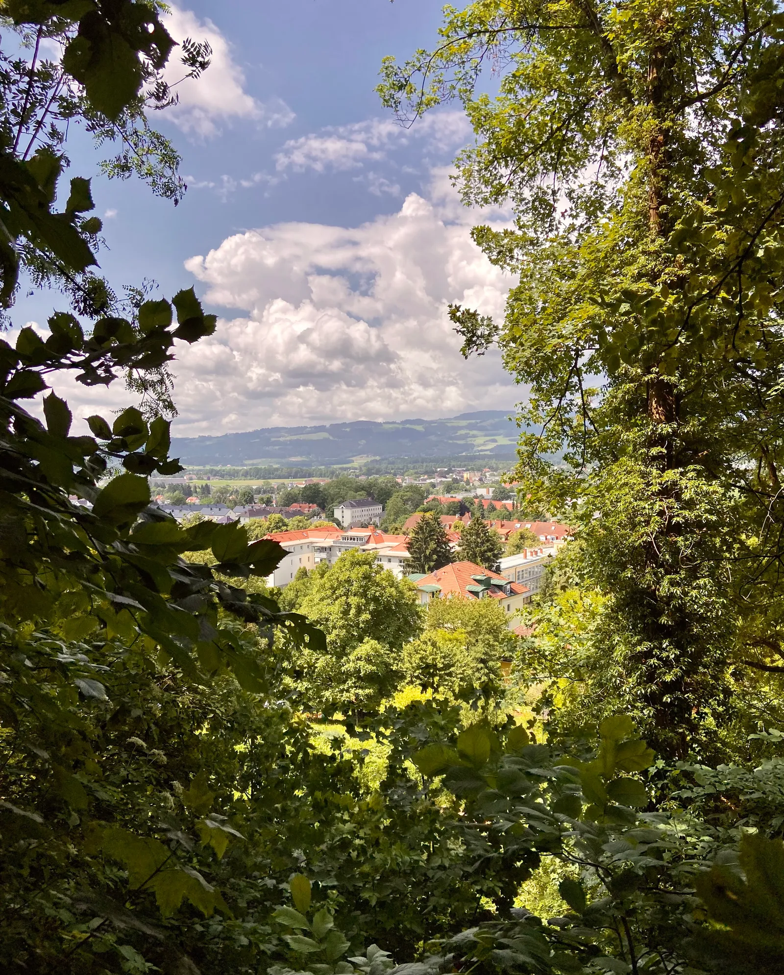 Schlossberg Rundweg Ausblick2