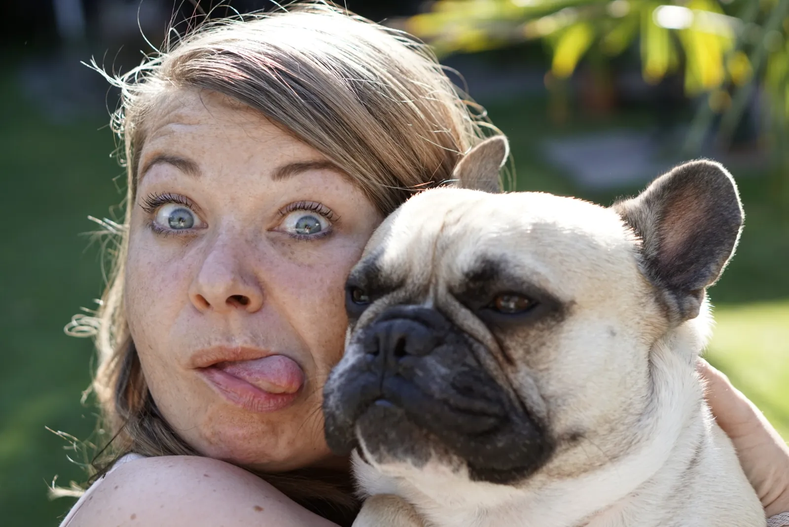 Hundeblog
