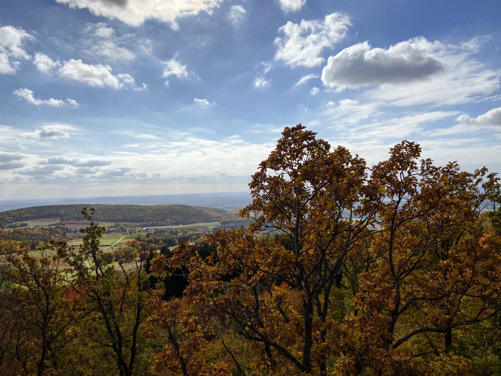 Baumwipfelweg Althodis Ausblick Burgenland