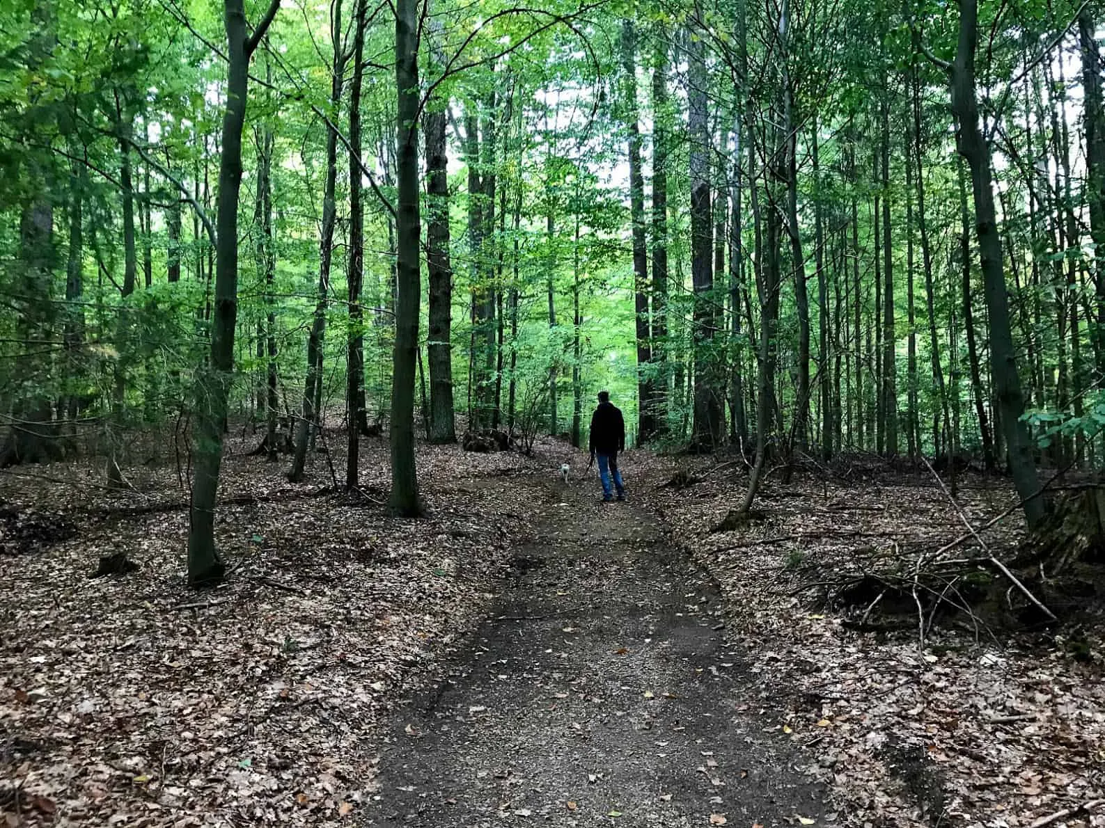 Waldviertel Zwettl Hundereise