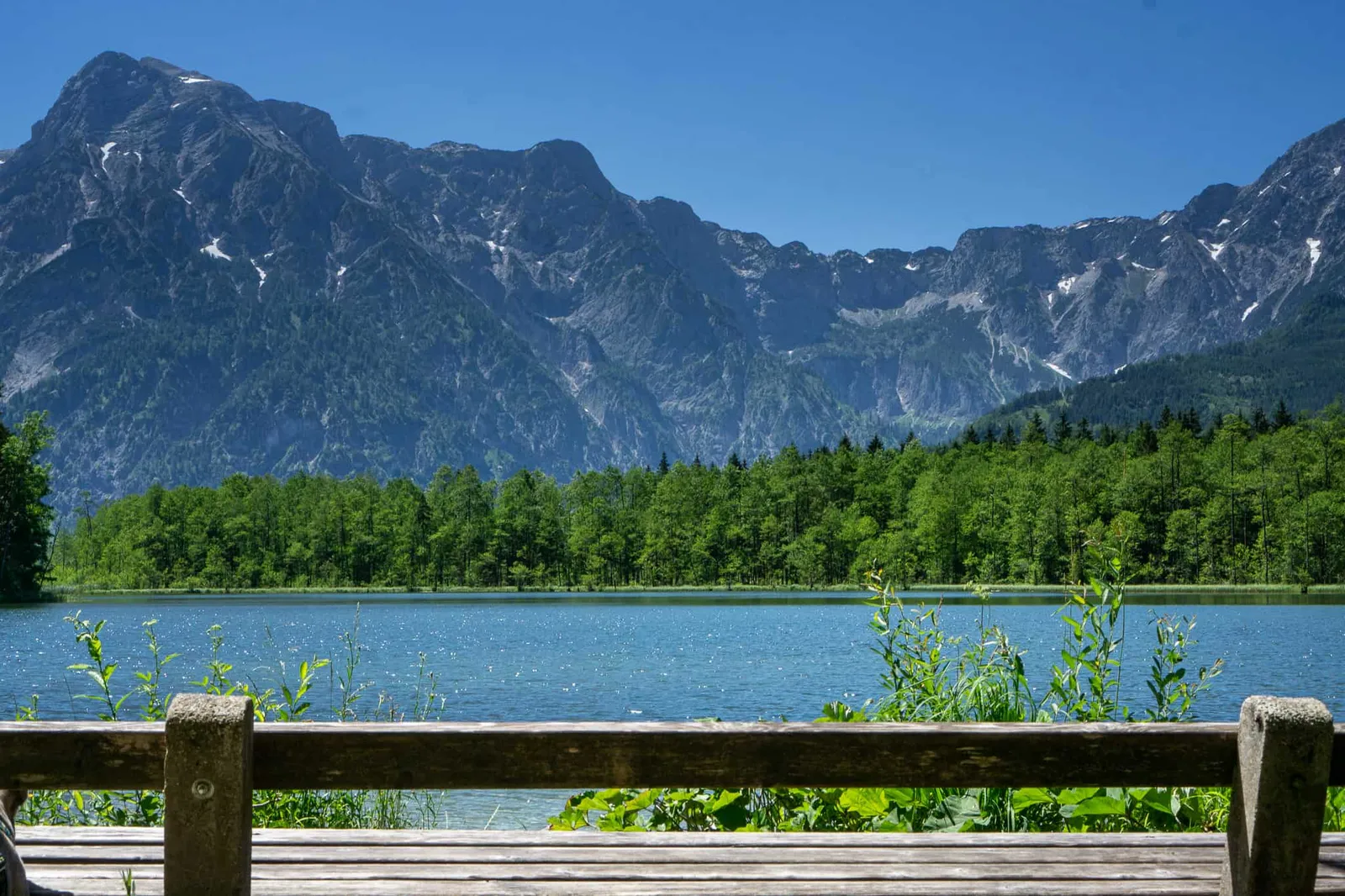 Almsee Grünau Hundereise