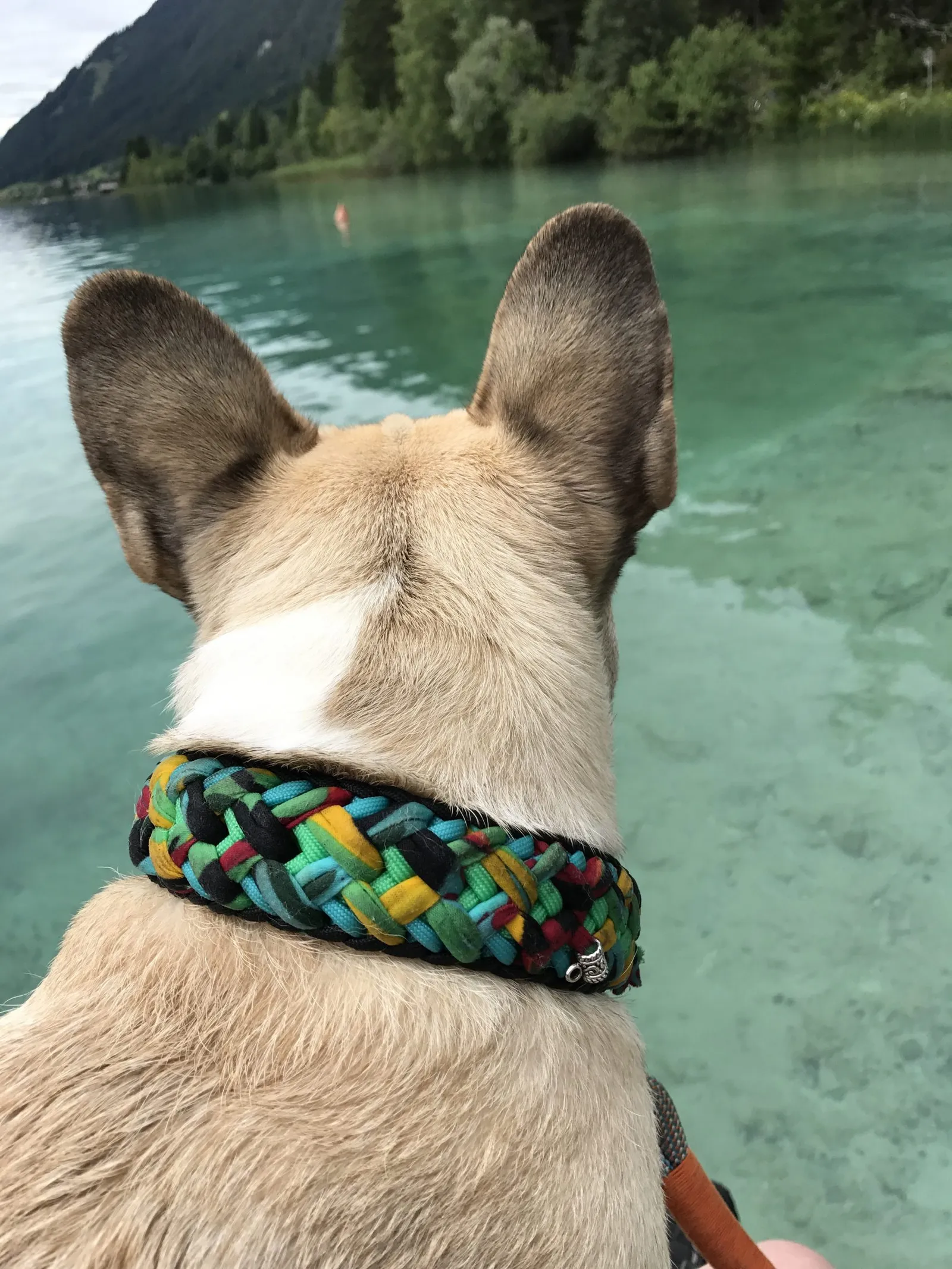 Urlaub mit Hund am Weissensee, Kärnten