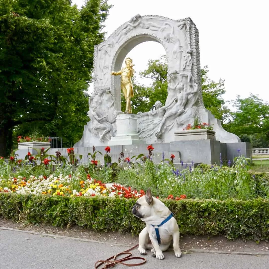 Meine Urlaubsplanung mit Hund - Tipps  und Tricks