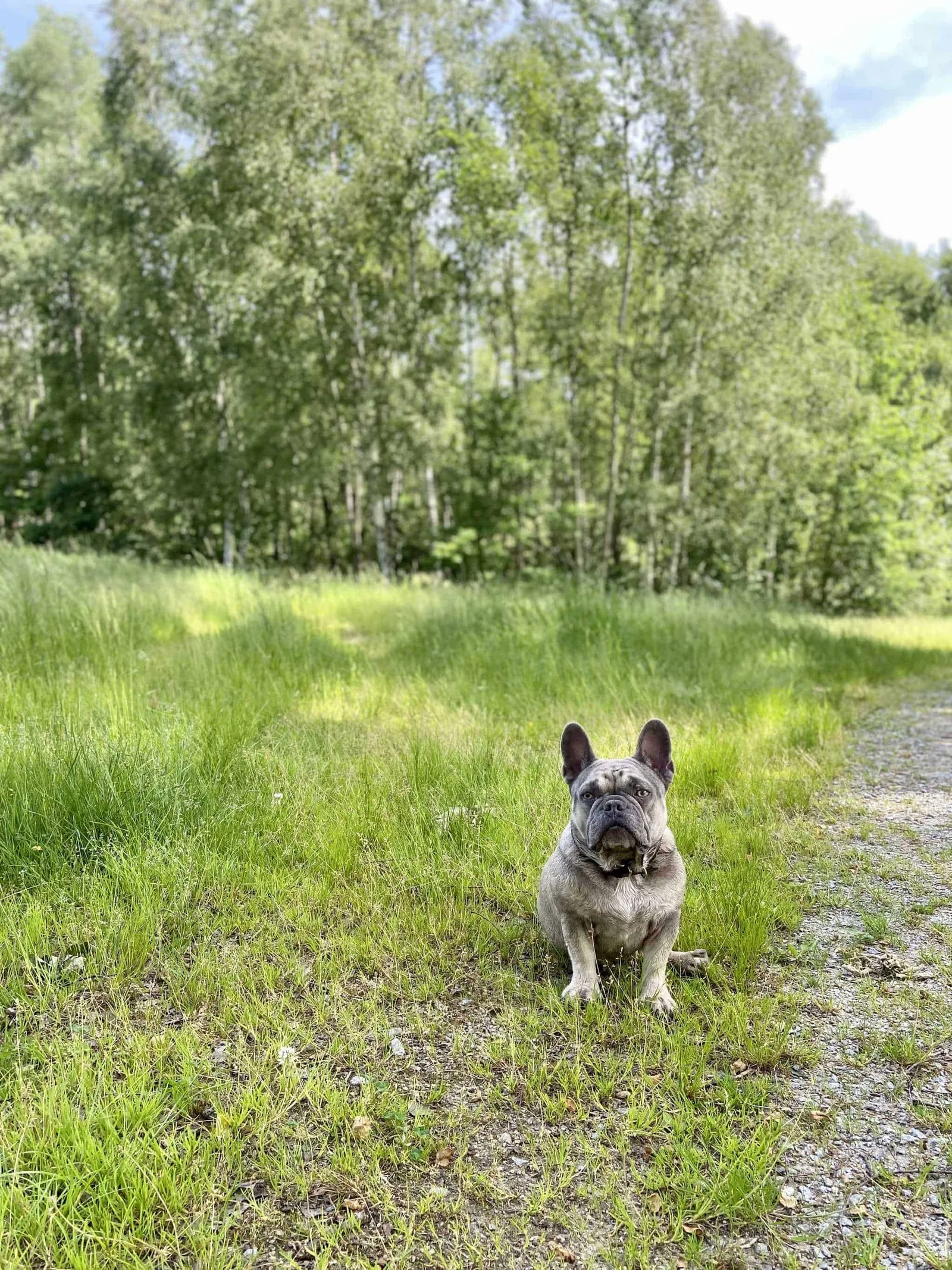 Archie auf der Westseite des Herrensees