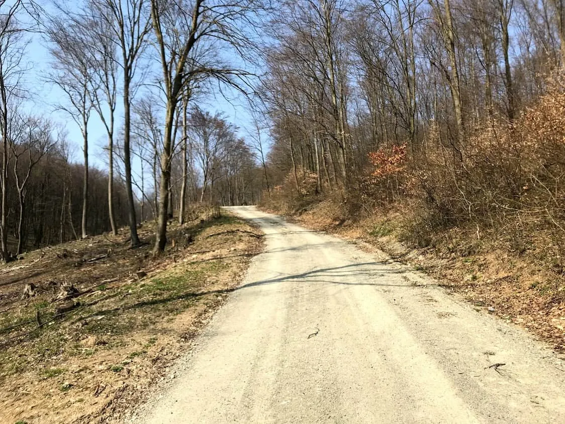 Hundefreundliche Wanderung in Donnerskirchen, Burgenland