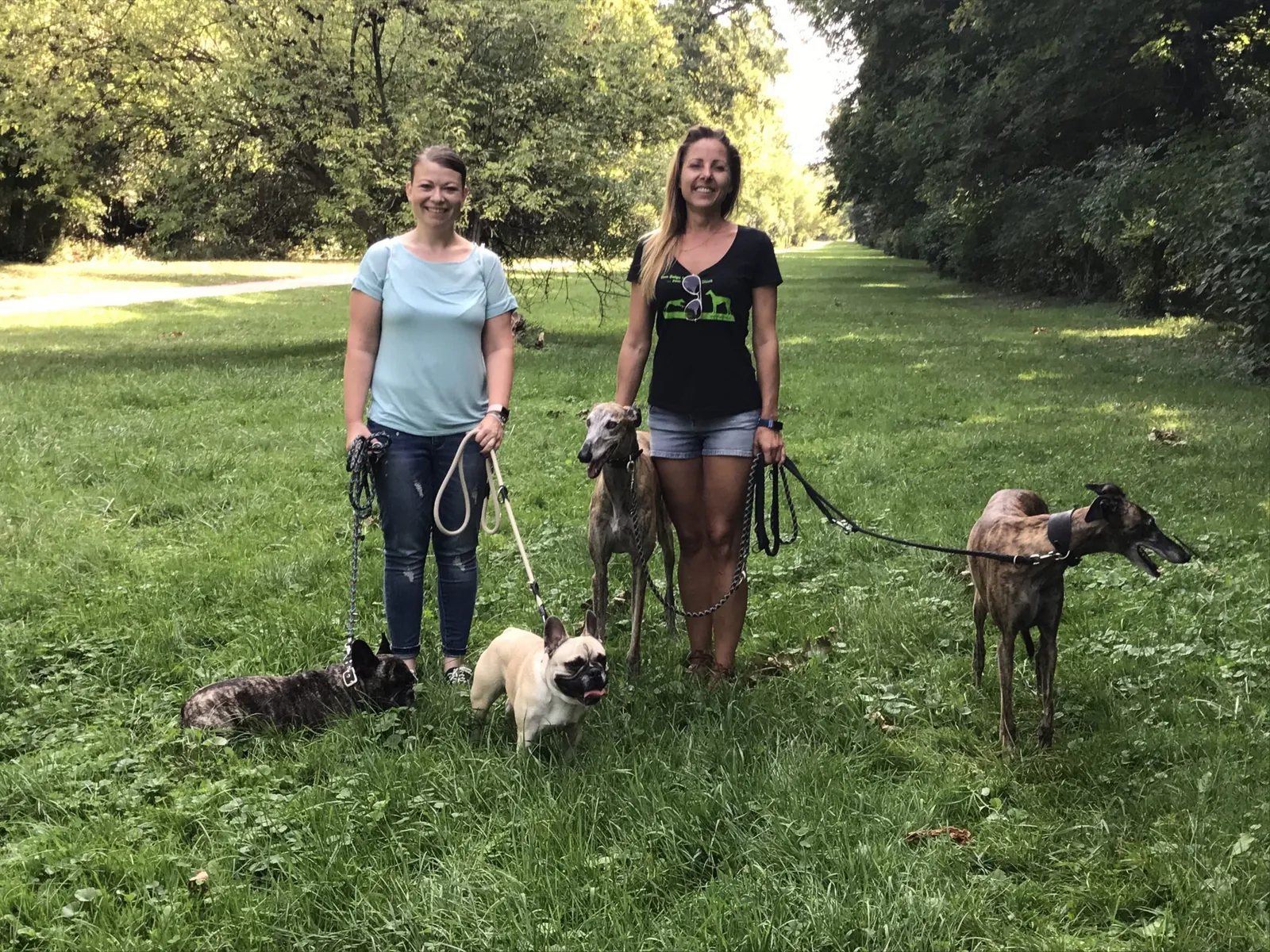 Spaziergang mit Hund in der Prater Hauptallee