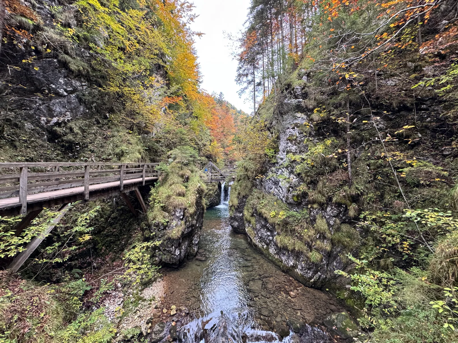 Felsenschlucht mit Holzsteg und kleinem Wasserfall im herbstlichen Mendlingtal.