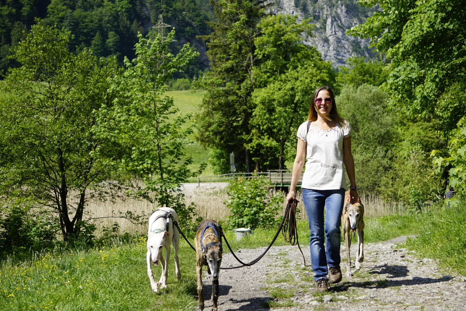 Leopoldsteiner See Hundereise