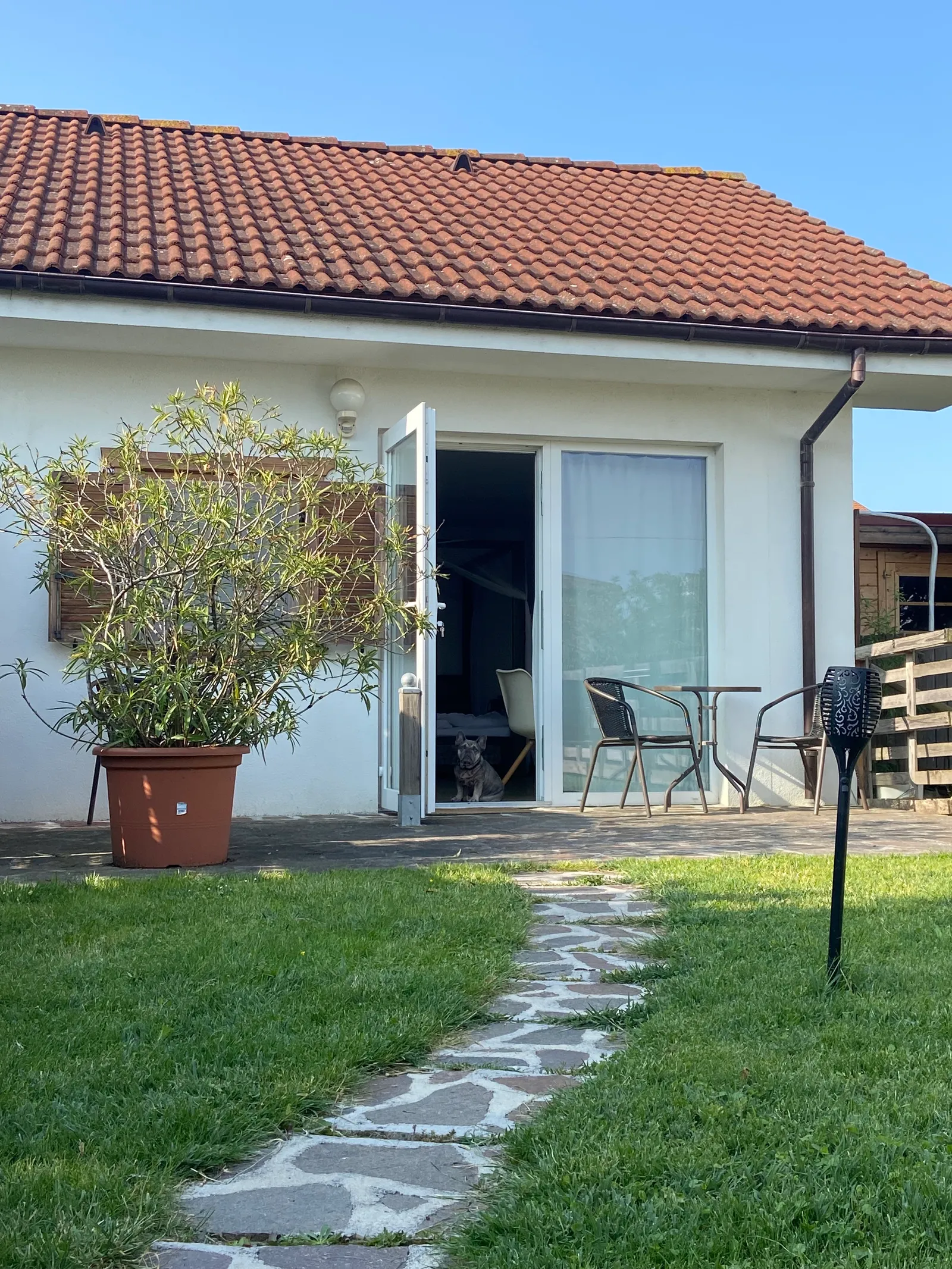 Unterkunft_Mörbisch_Garten