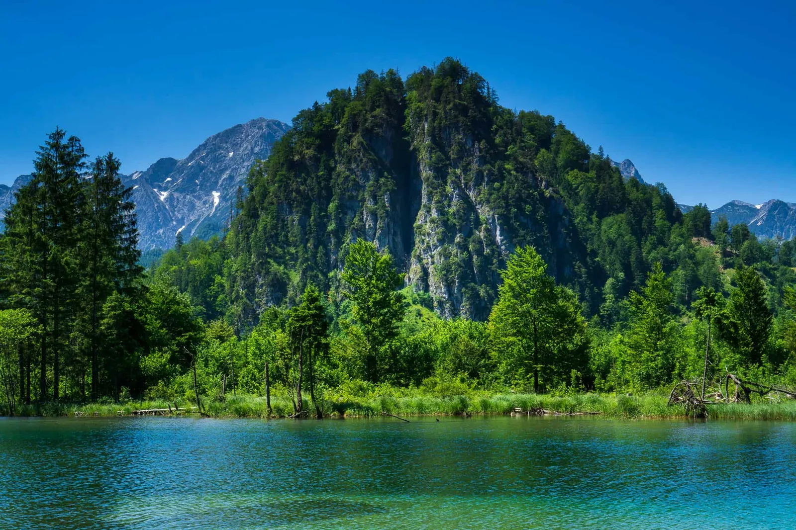 Almsee Grünau Hundereise