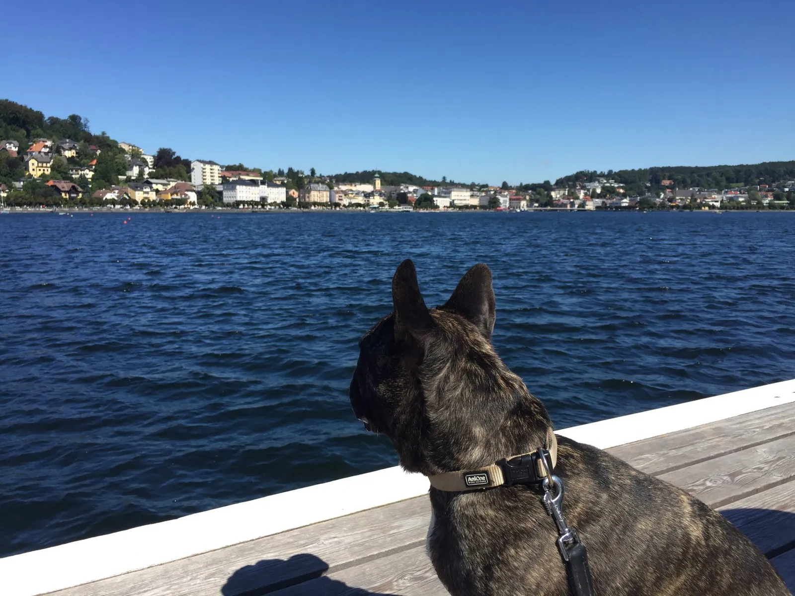 Rund um Gmunden