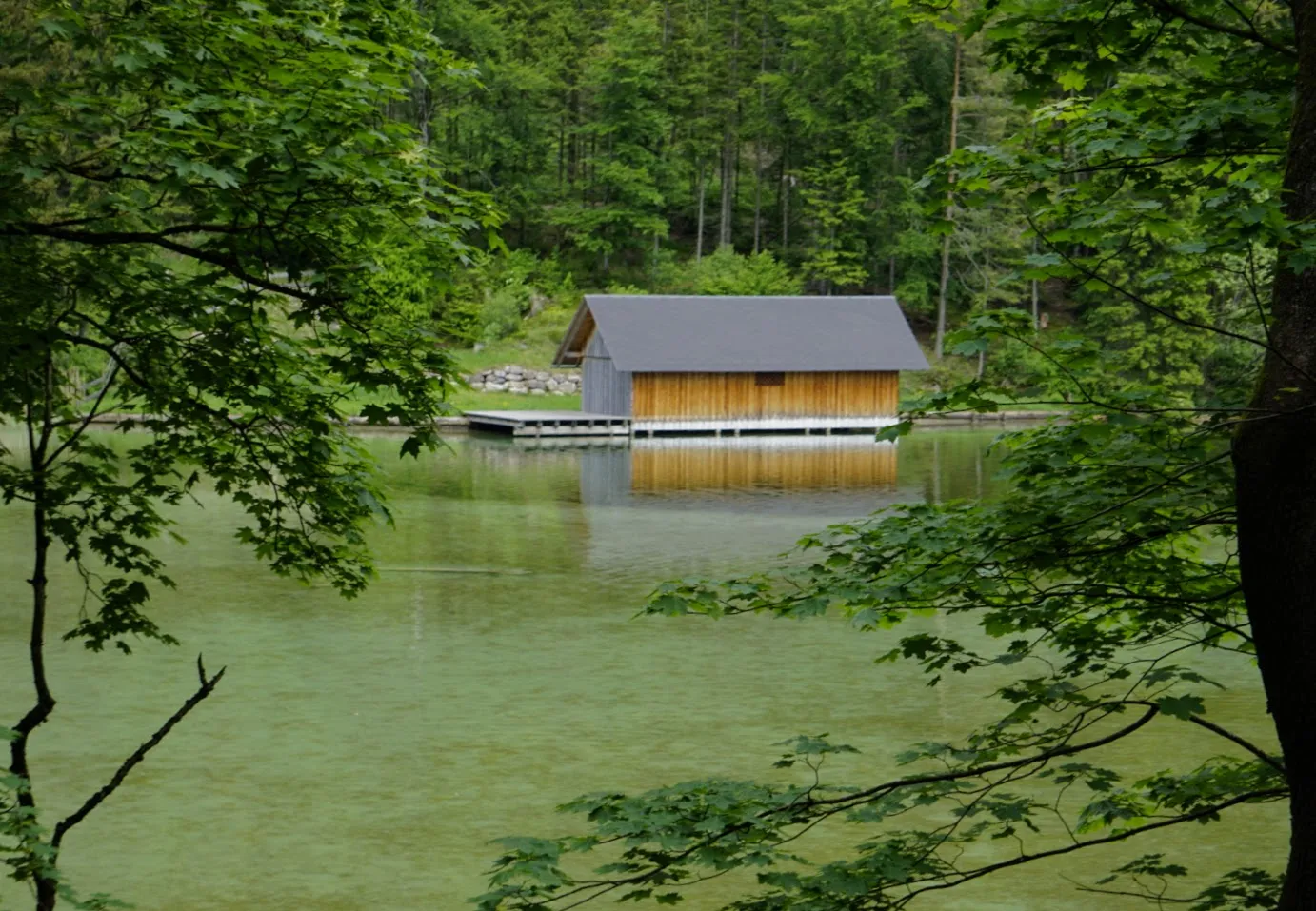 Leopoldsteiner See Hundereise