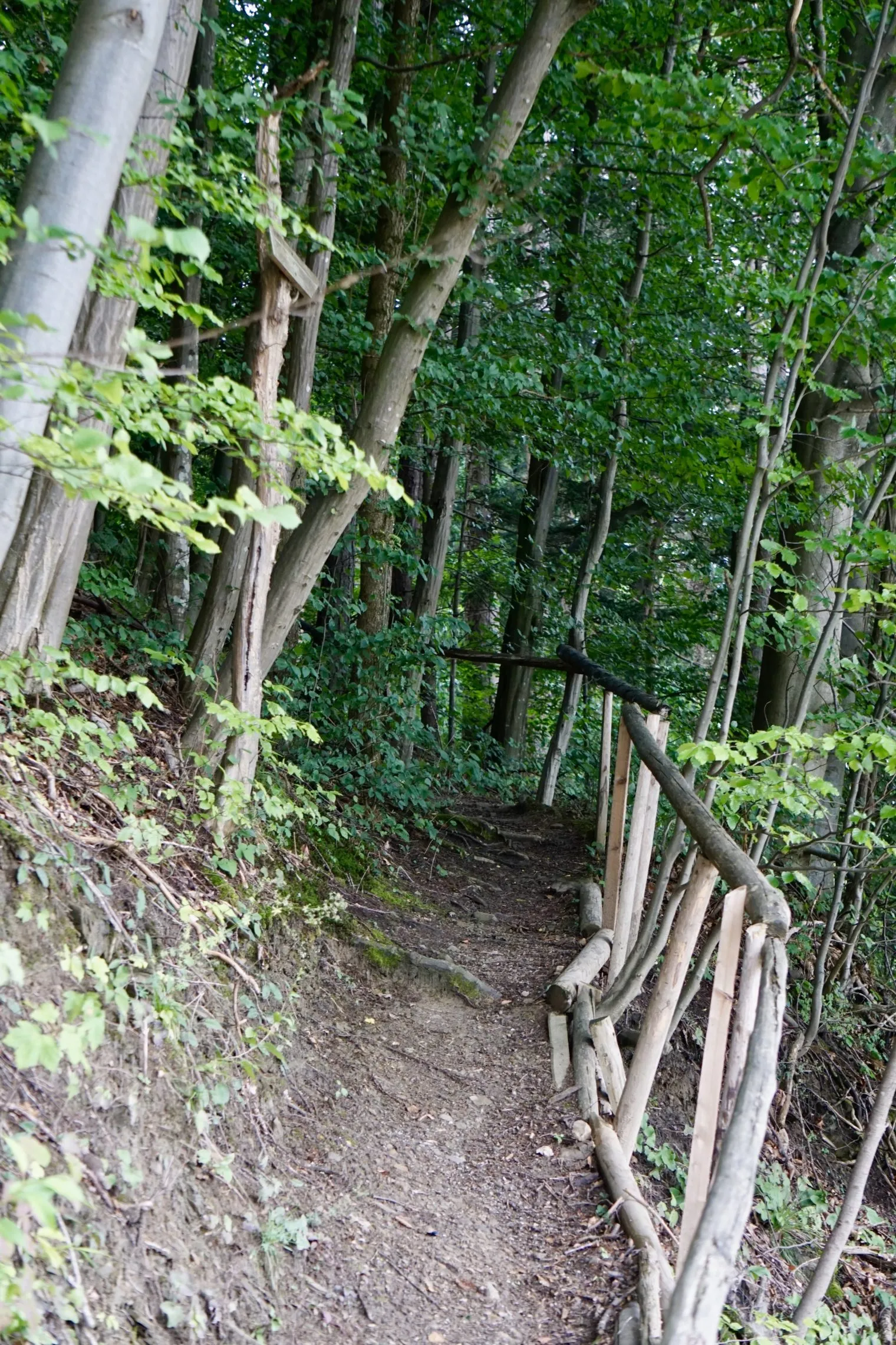 Dirndltal