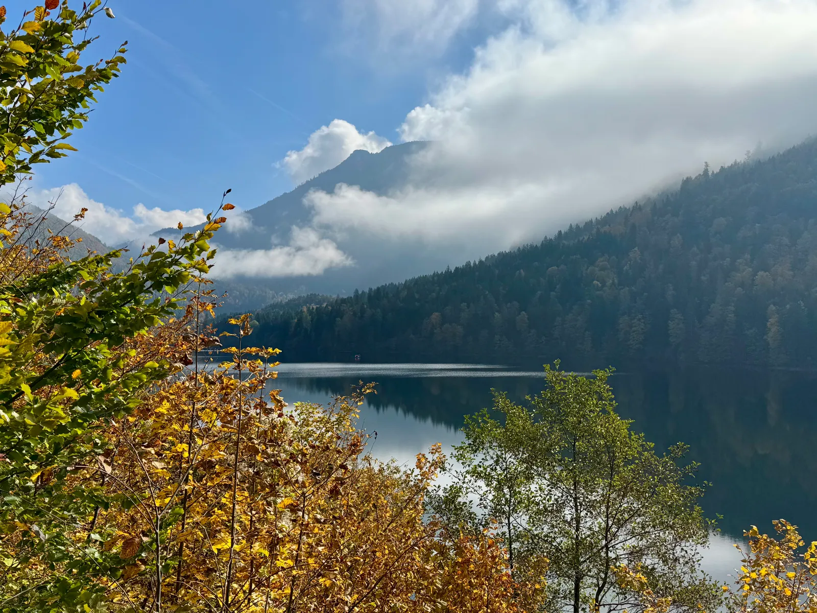 Herbstlich belaubte Bäume rahmen den Lunzer See mit Bergen und Wolken im Hintergrund.