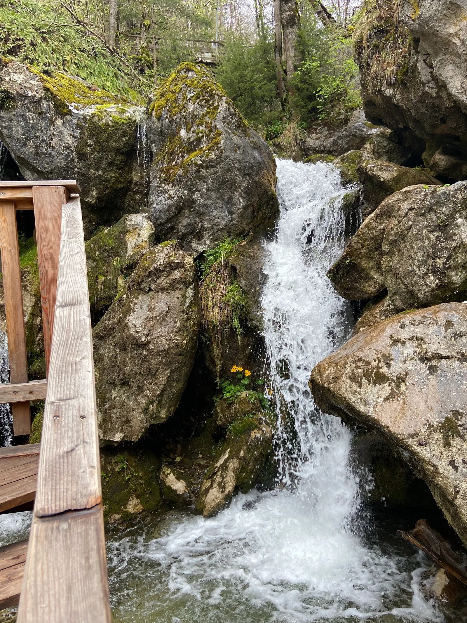 Myrafälle Wasserfall 3