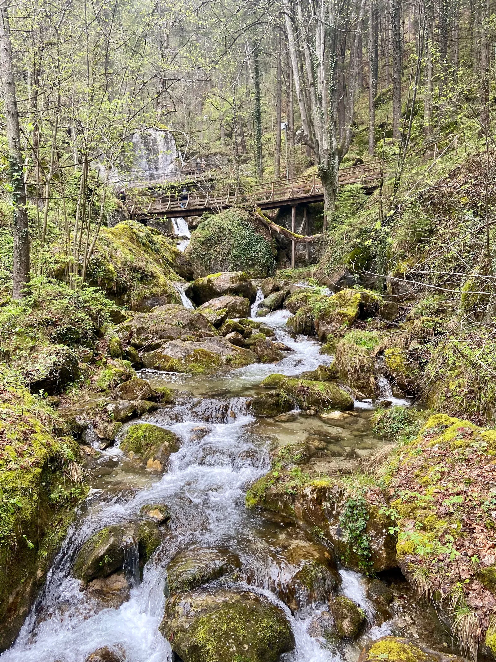 Myrafälle Wasserfall