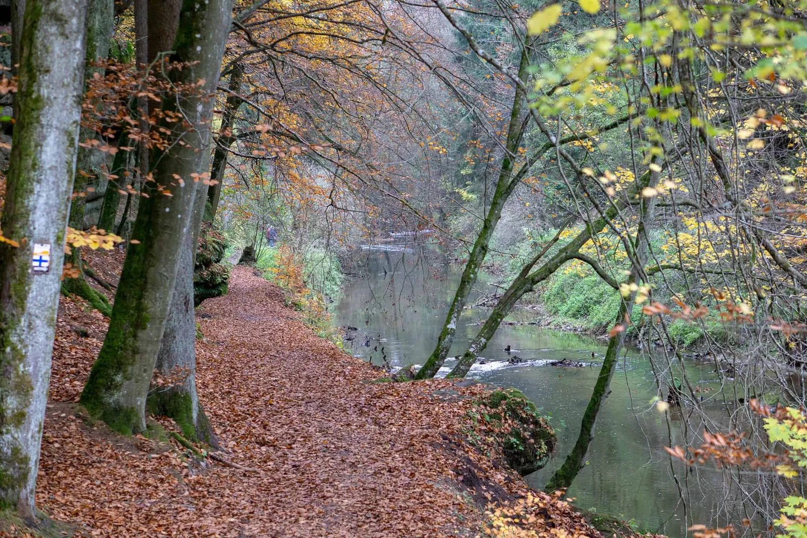 Hundereise Wandern Schwarzach Deutschland