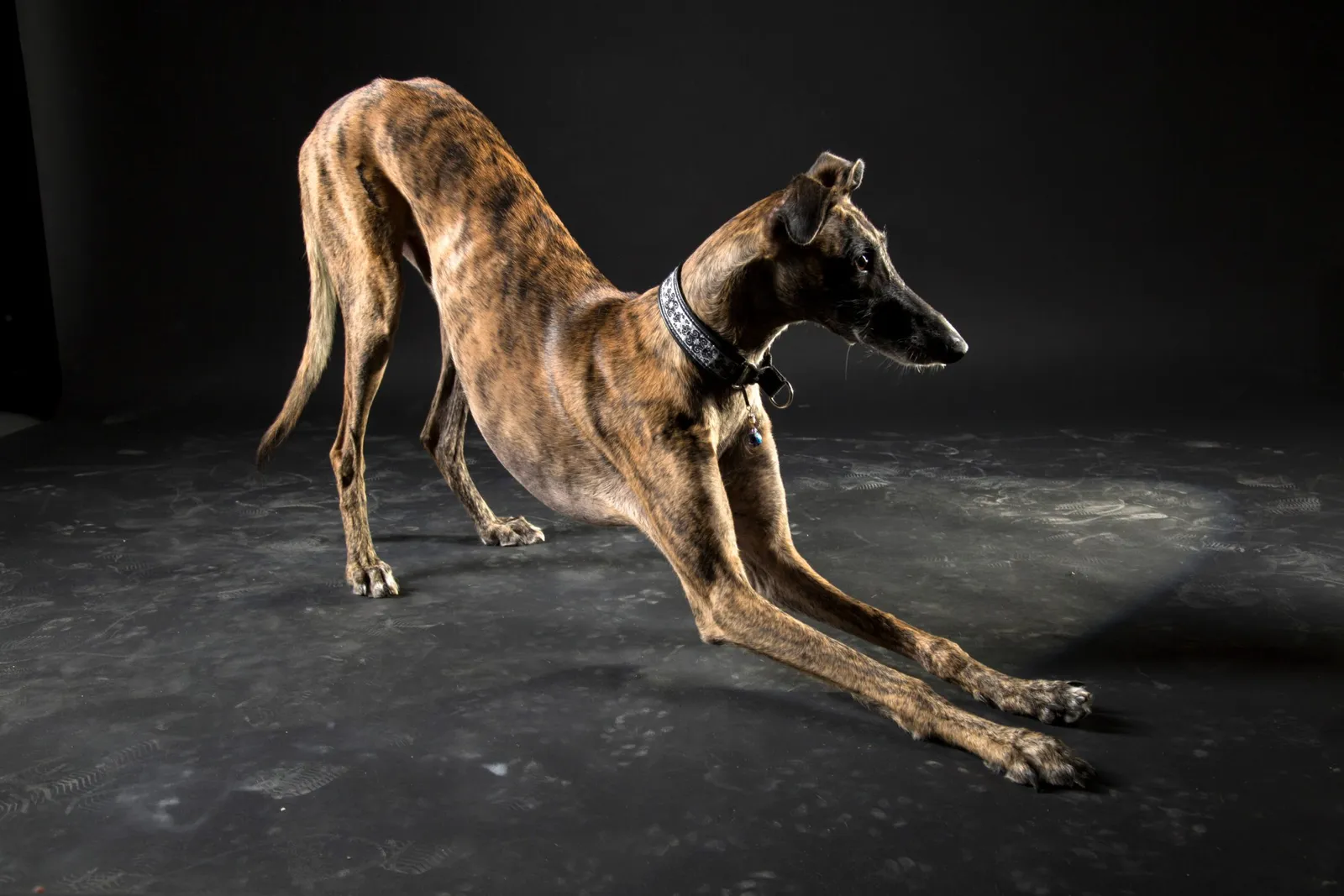 Atlas Yoga