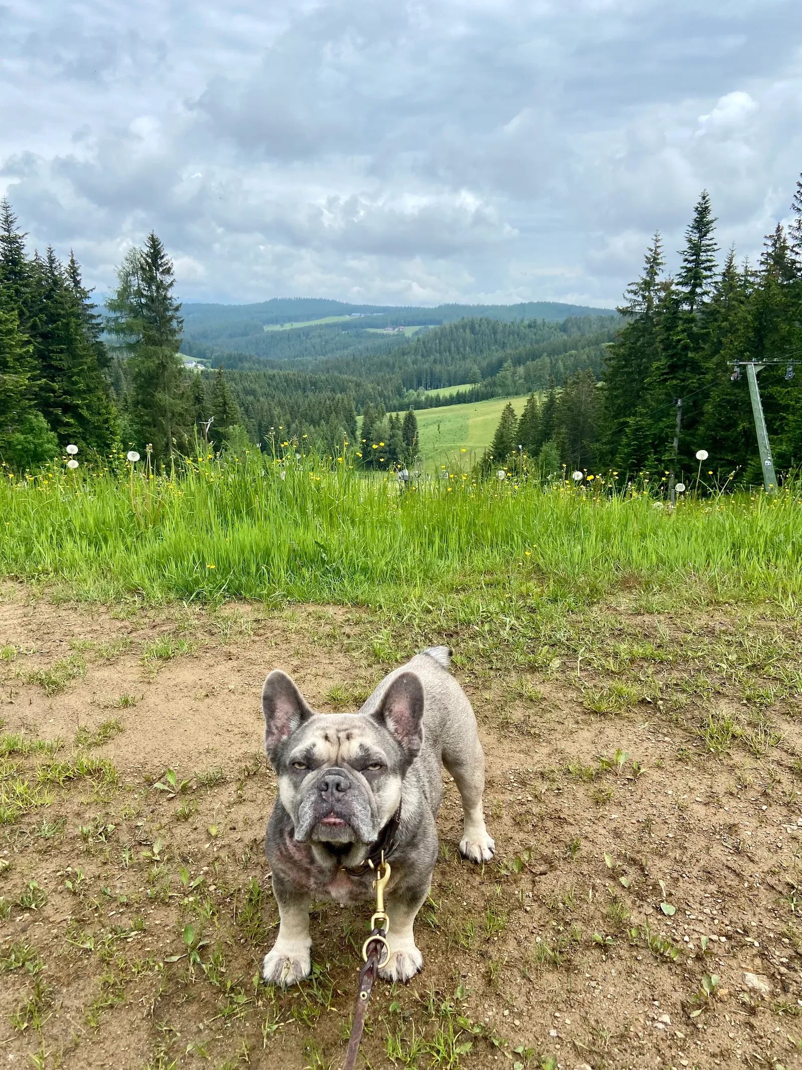 Hoiswirt Modriach Runde Archie Ausblick