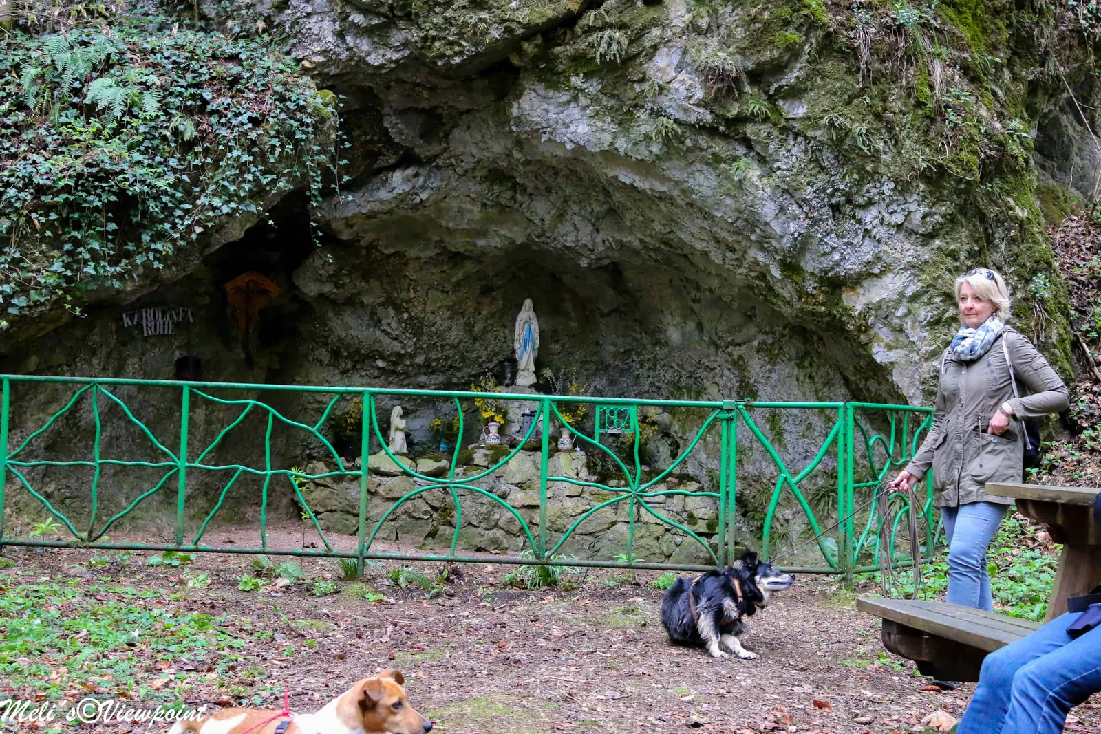 Kräuterwanderung mit Hund in Wöllersdorf-Steinabrückl