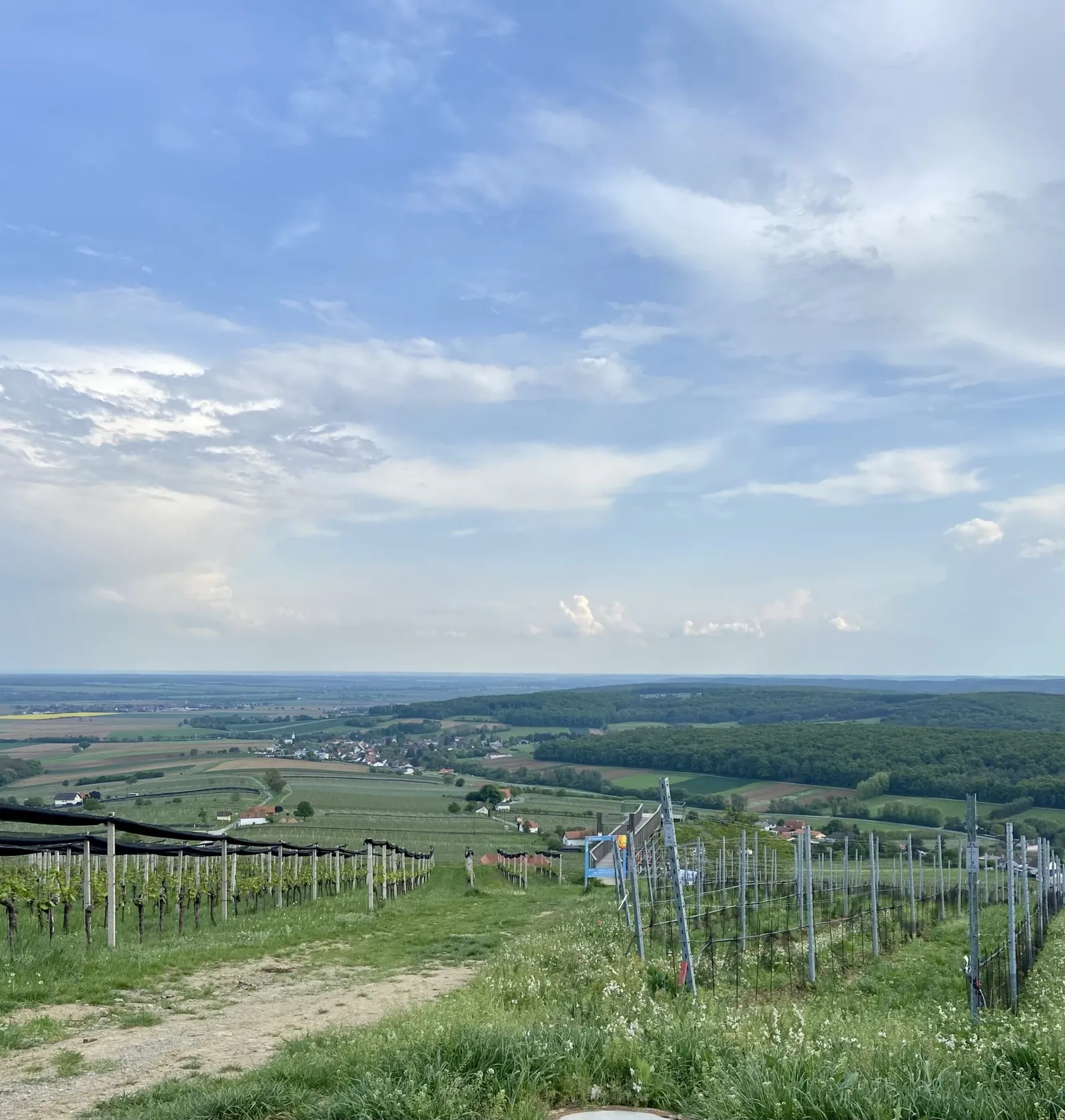 Blick zur Weinblick Aussichtsplattform Weinloft