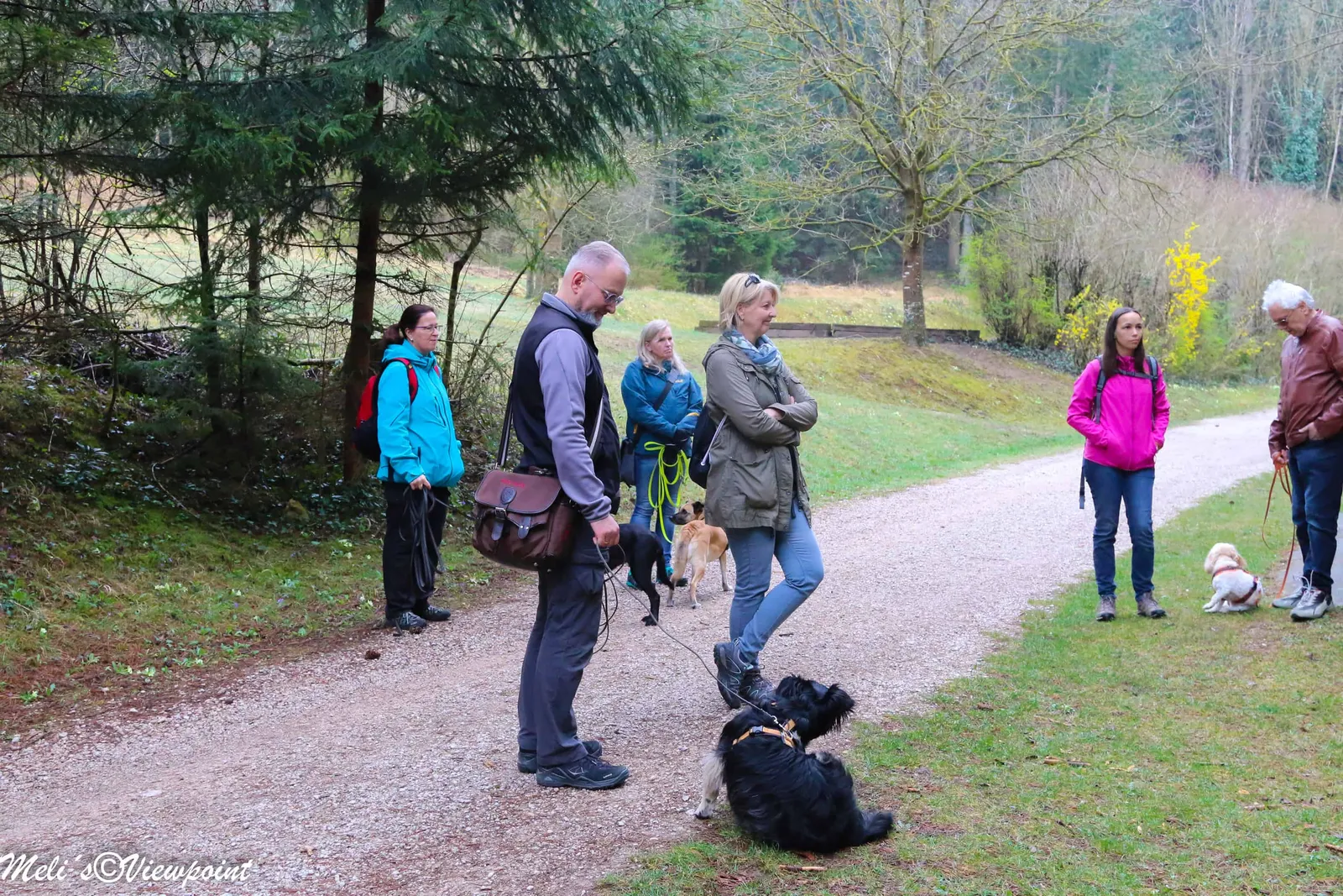 Kräuterwanderung mit Hund in Wöllersdorf-Steinabrückl
