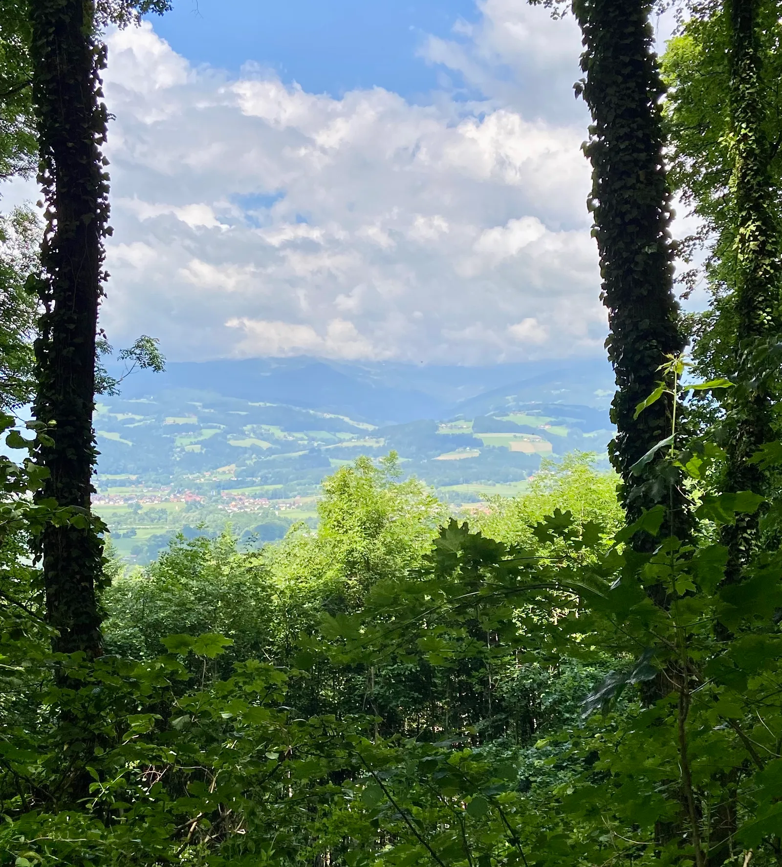 Schlossberg Rundweg Ausblick