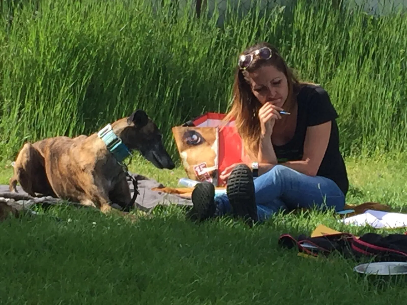 Intensiv Seminar Mensch-Hund-Beziehung