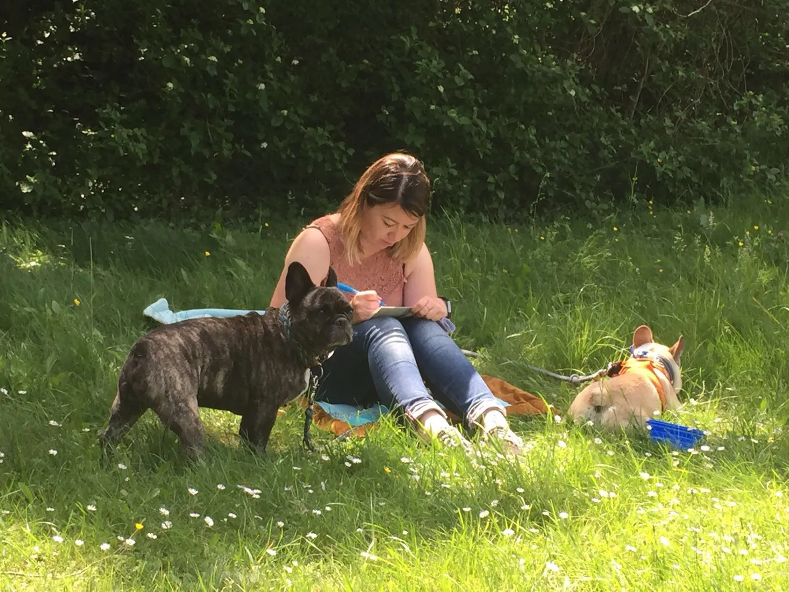 Intensiv Seminar Mensch-Hund-Beziehung