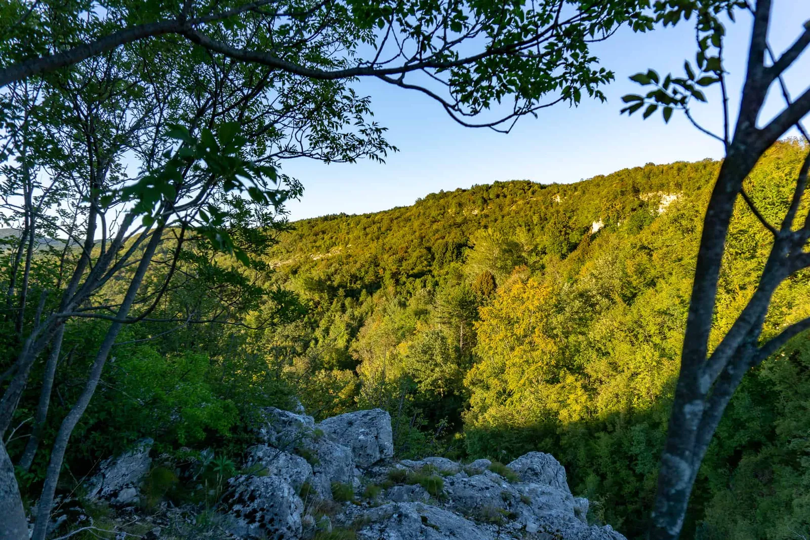 brest pod učkom Wandern mit Hund