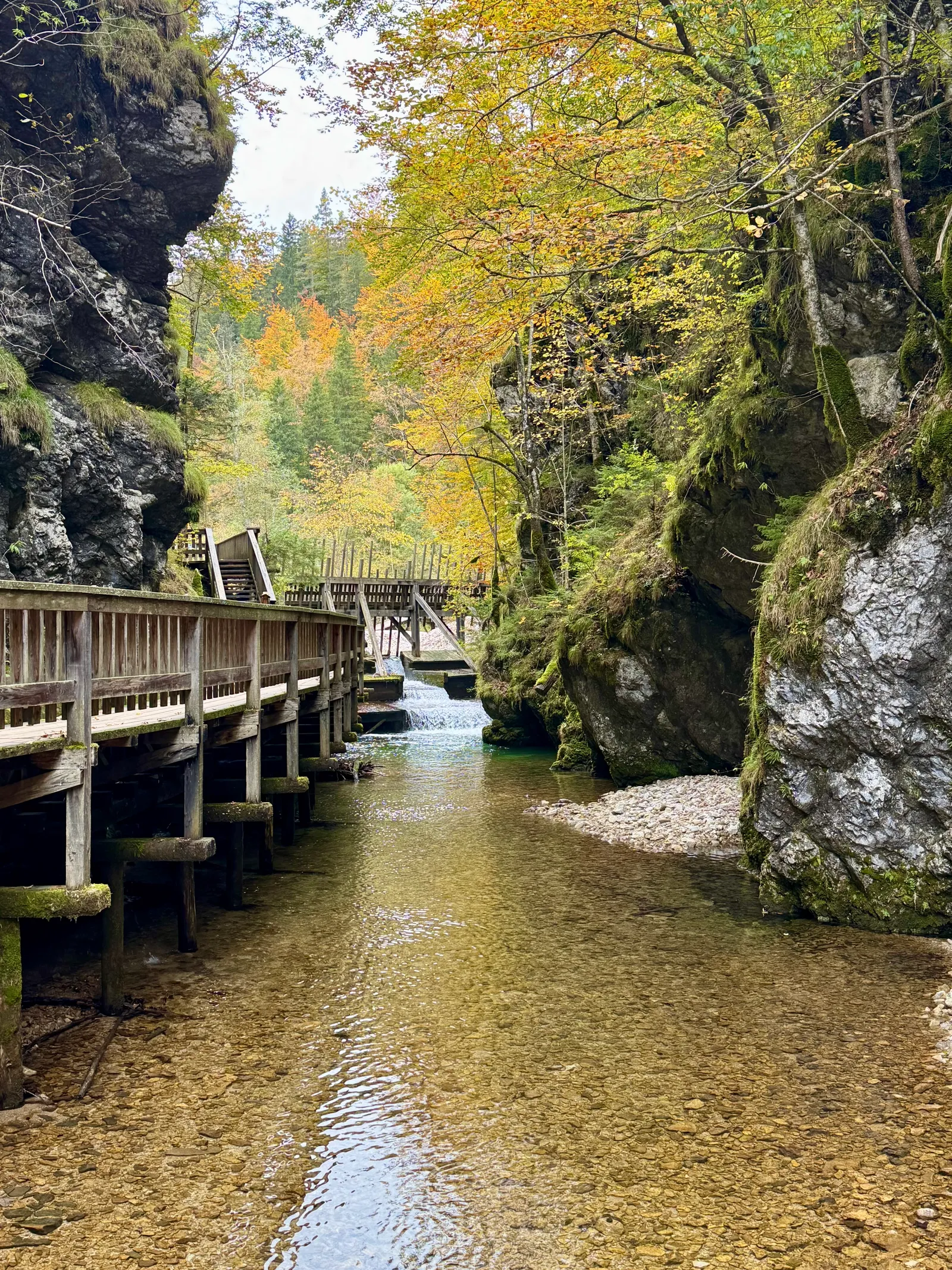 Hölzerner Steg führt entlang eines klaren Gebirgsbachs durch eine enge Felsschlucht mit Herbstlaub.