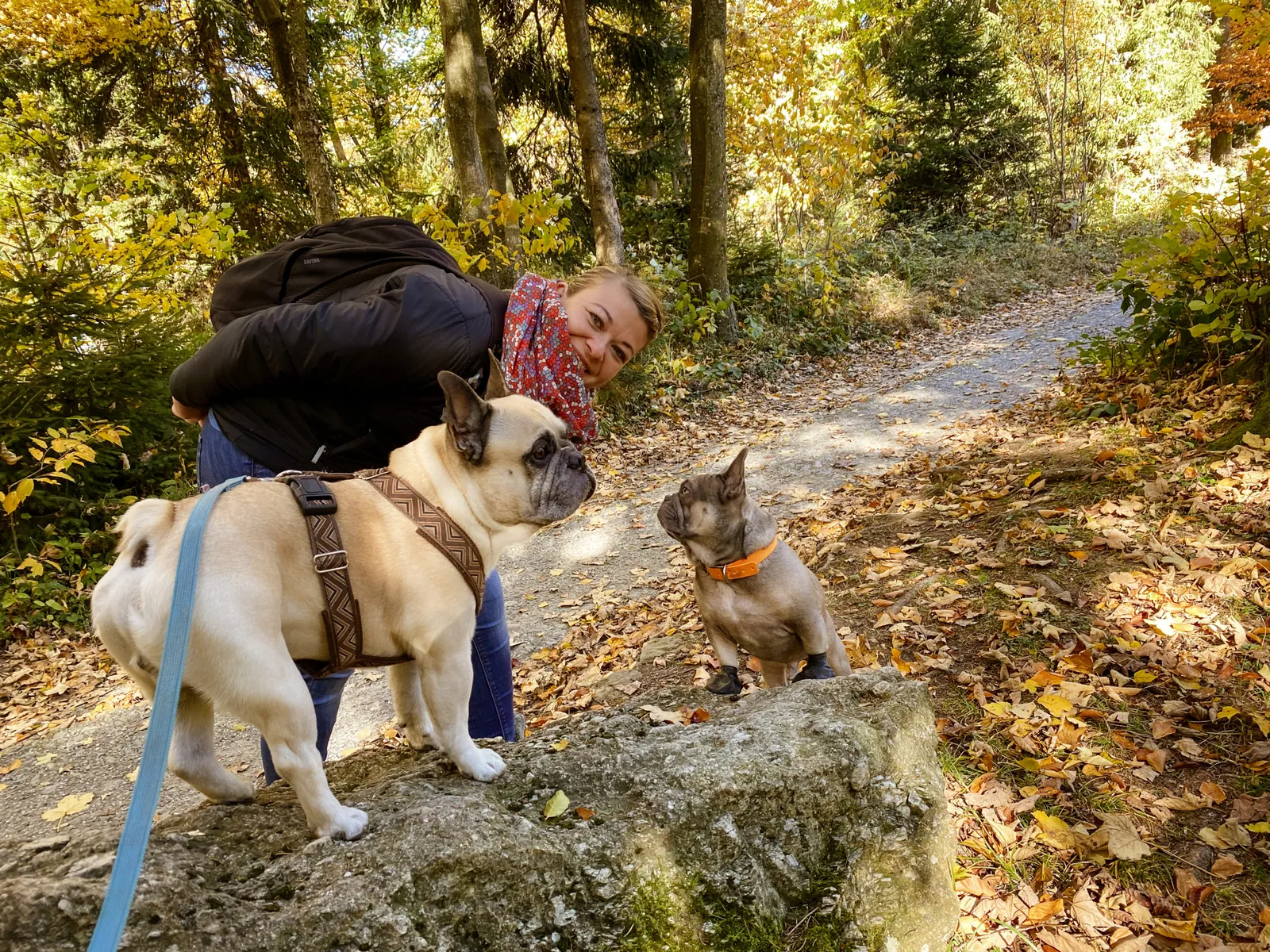 Geschriebenstein Aussichtswarte Burgenland Murphy Archie Babsi