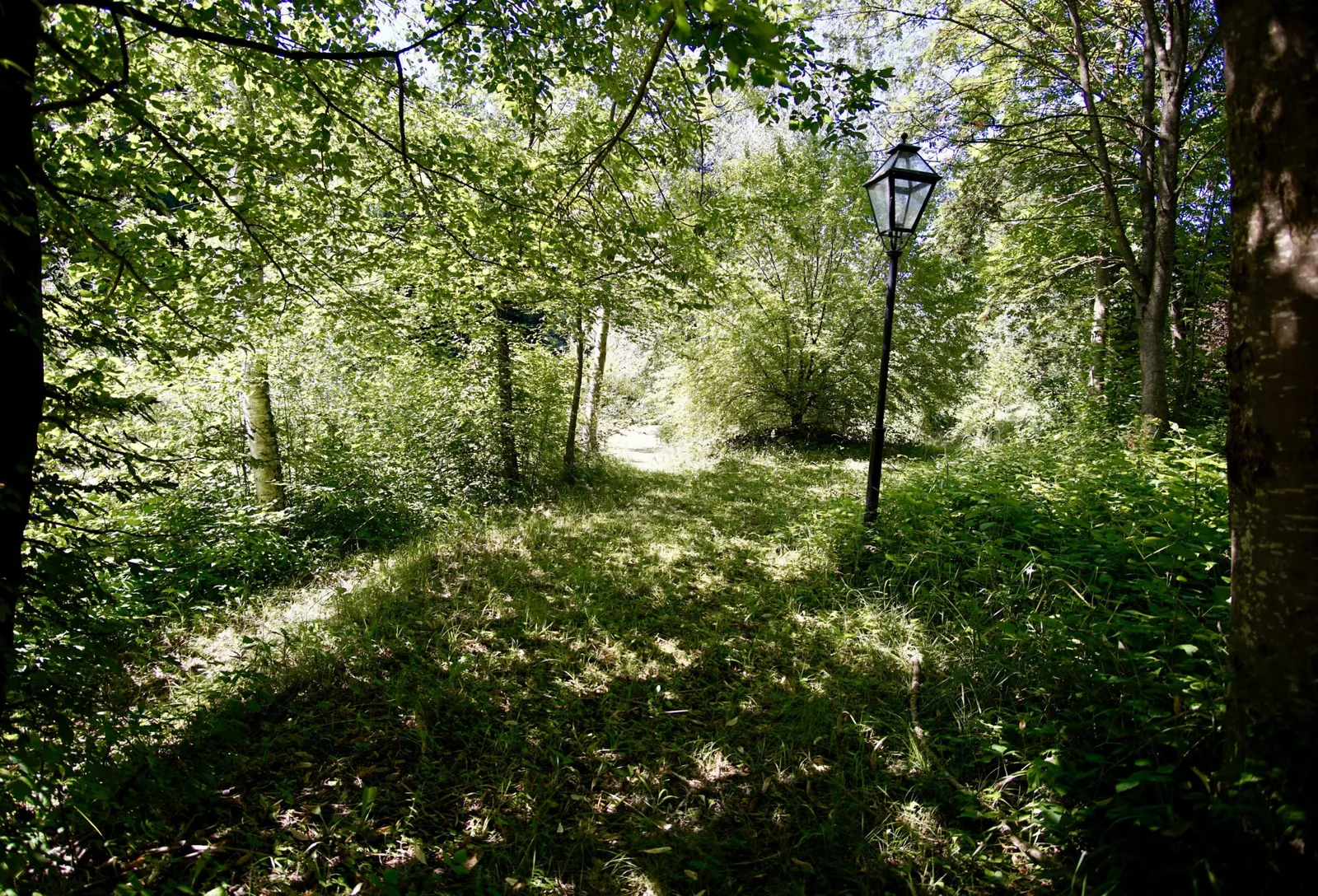 DSC5970