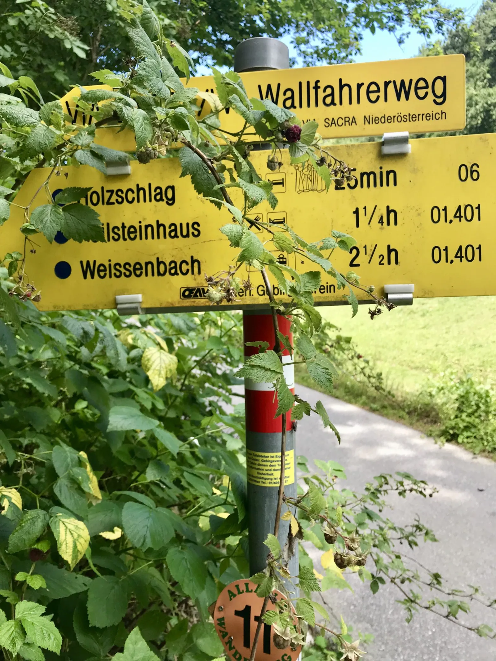 Peilstein Rundweg