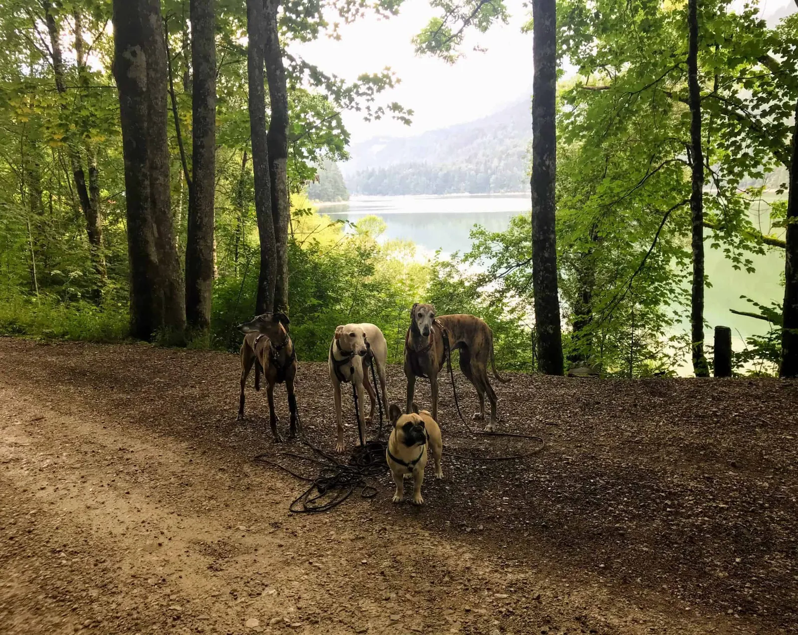 Schwarzensee Salzkammergut