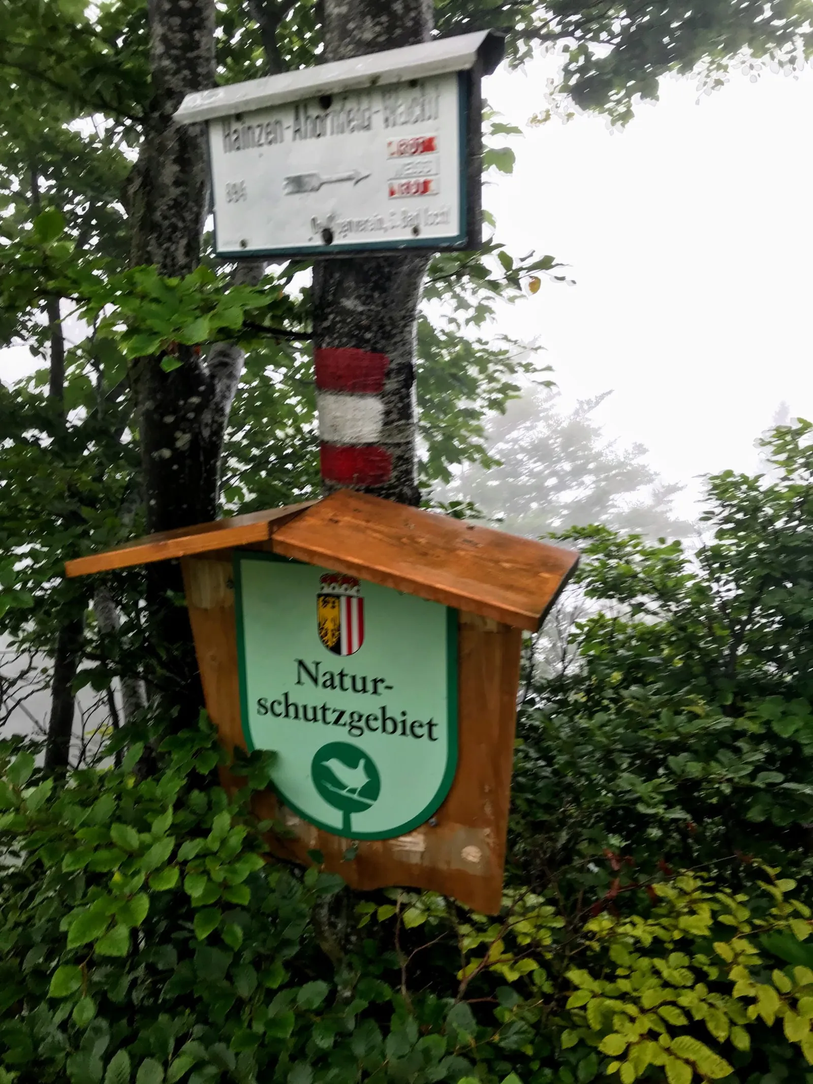 Bad Ischl Katrinalm