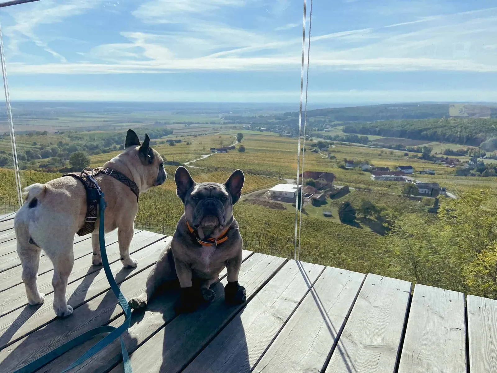 Eisenberg Weinblick Aussicht ins Südburgenland