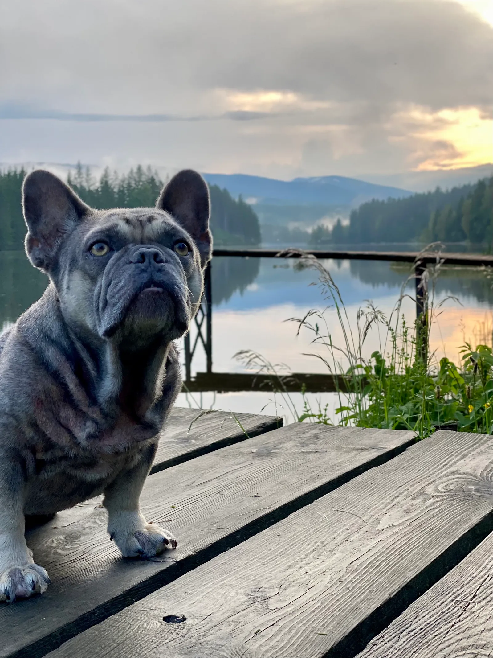 Archie Abendstimmung Packer Stausee