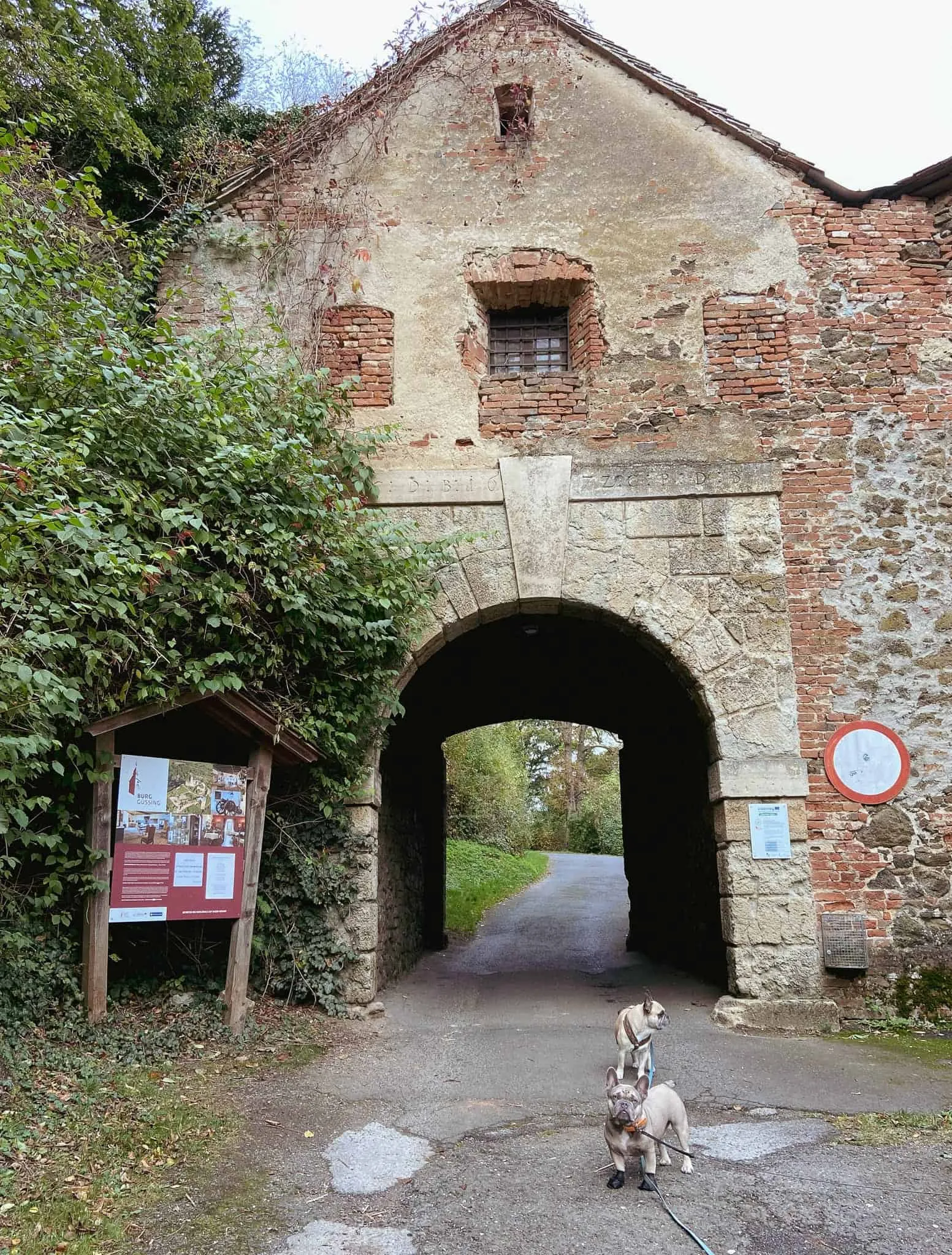 Aufgang zur Burg Güssing