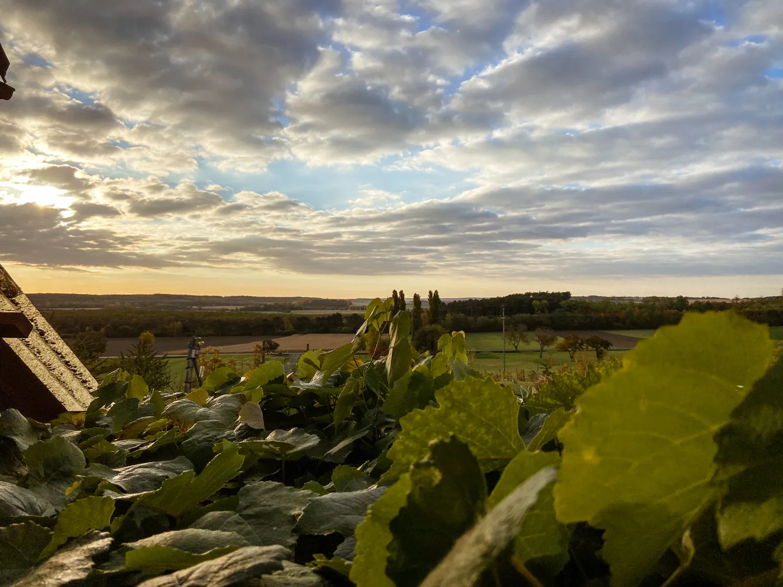 Kellerstöckl Rosalie Ausblick