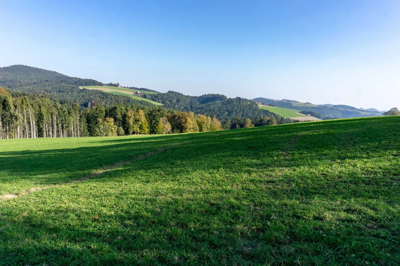 hundefreundliche Wanderung Bucklige Welt