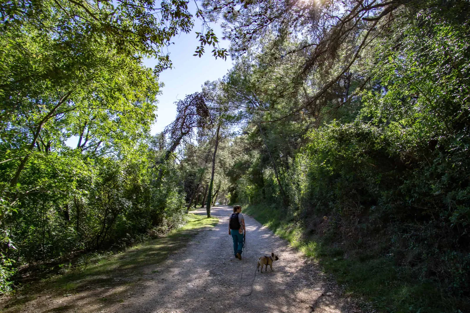 Urlaub Hund Kroatien Hundereise Rabac