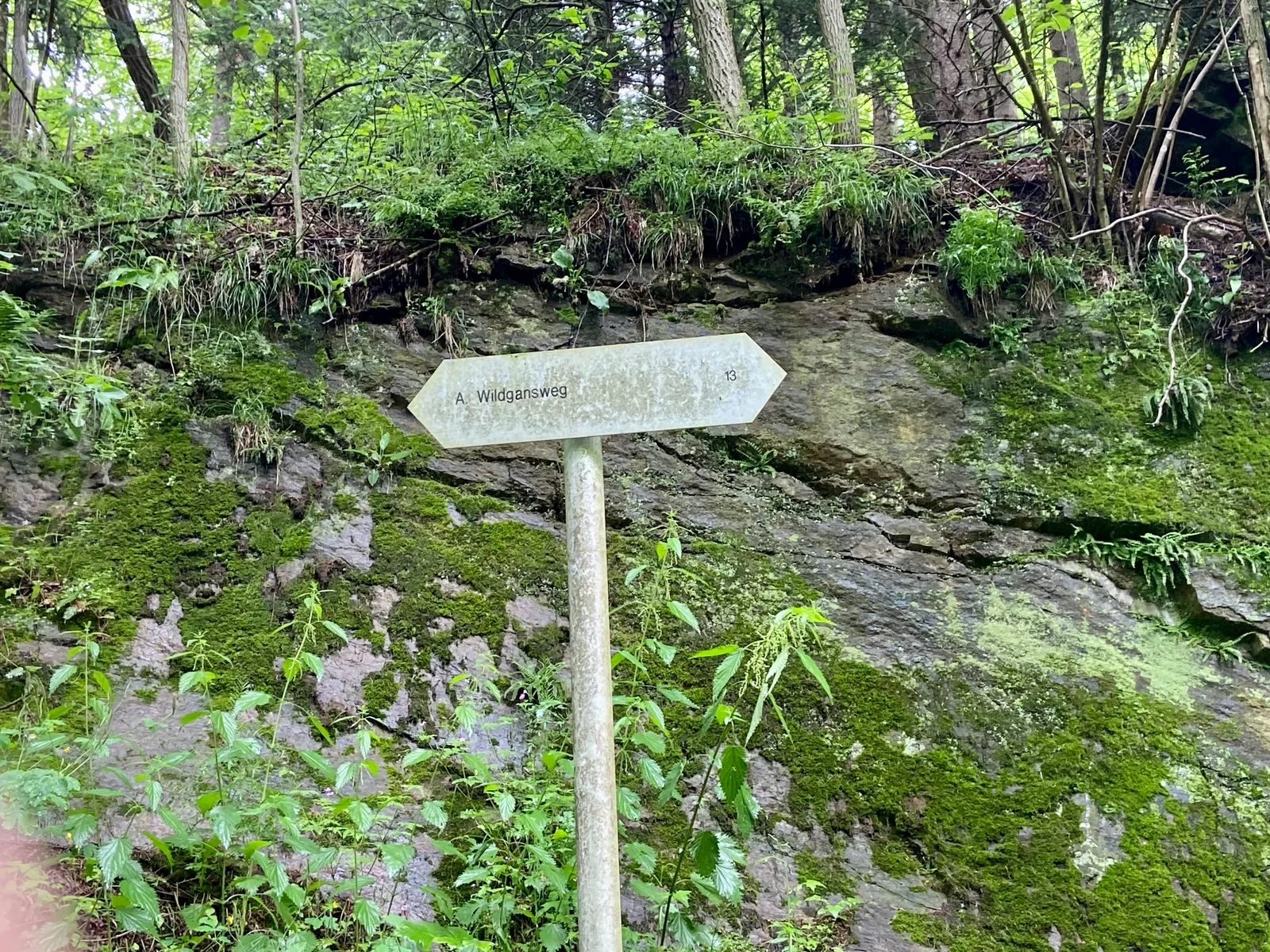 Wegweiser