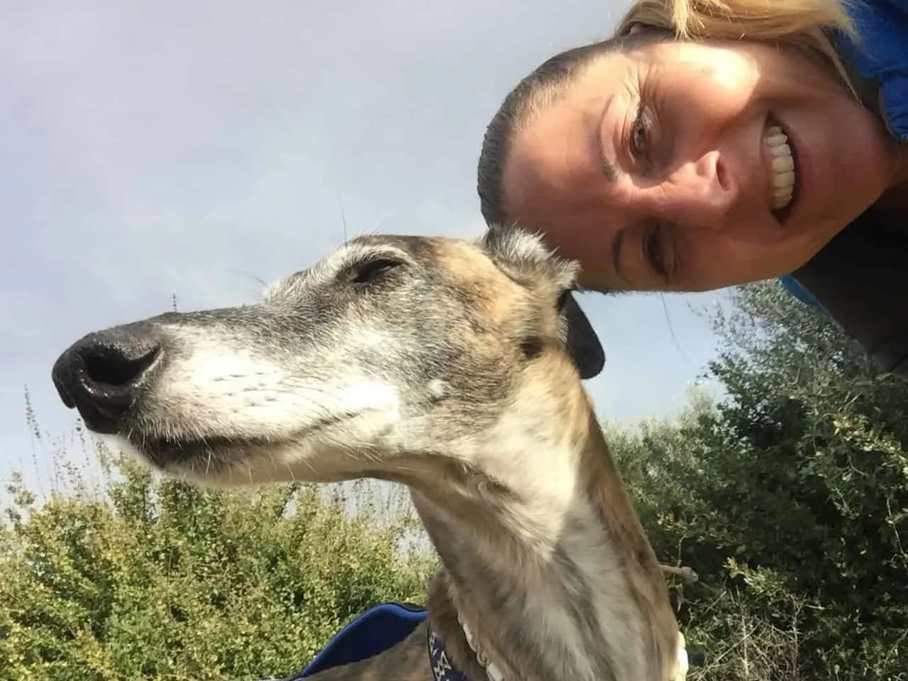Urlaub mit Hund in Griechenland - über Aussteiger und Wanderungen
