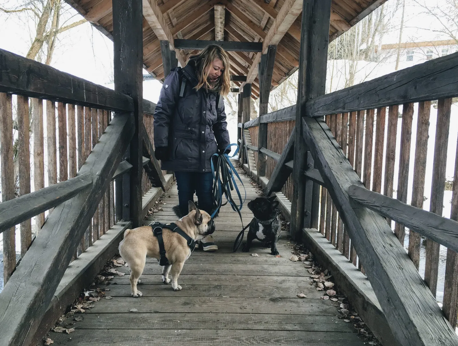 Hundeurlaub Steiermark