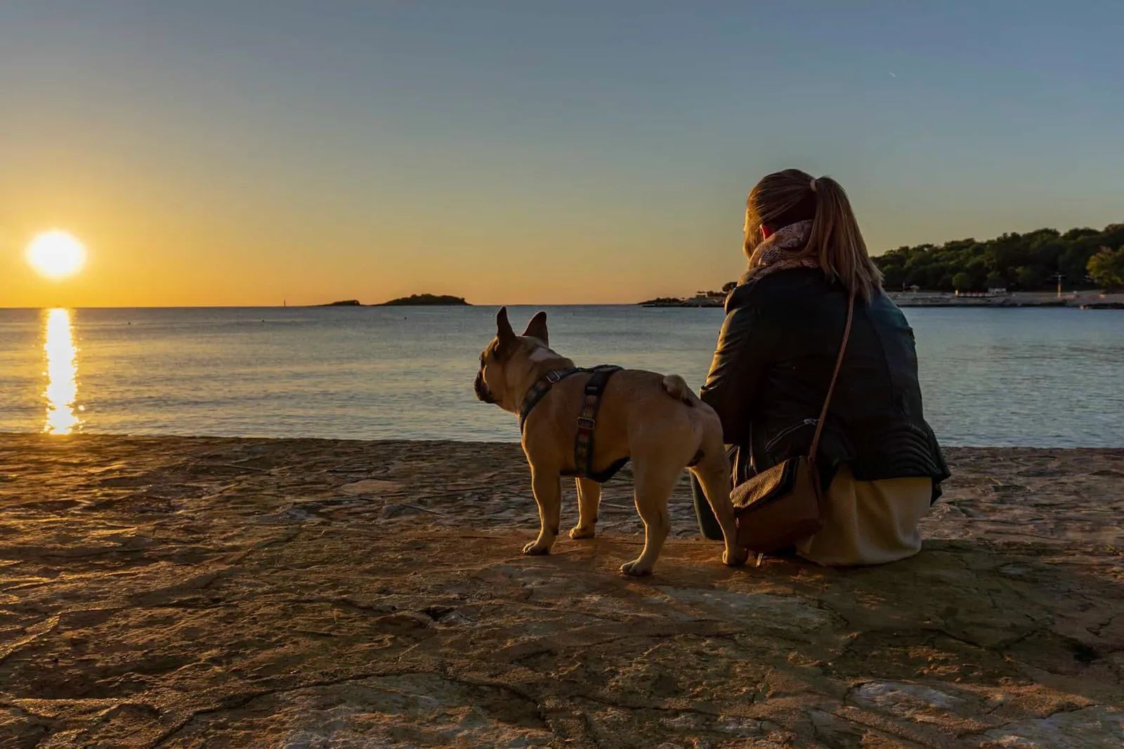Urlaub Hund Kroatien Hundereise