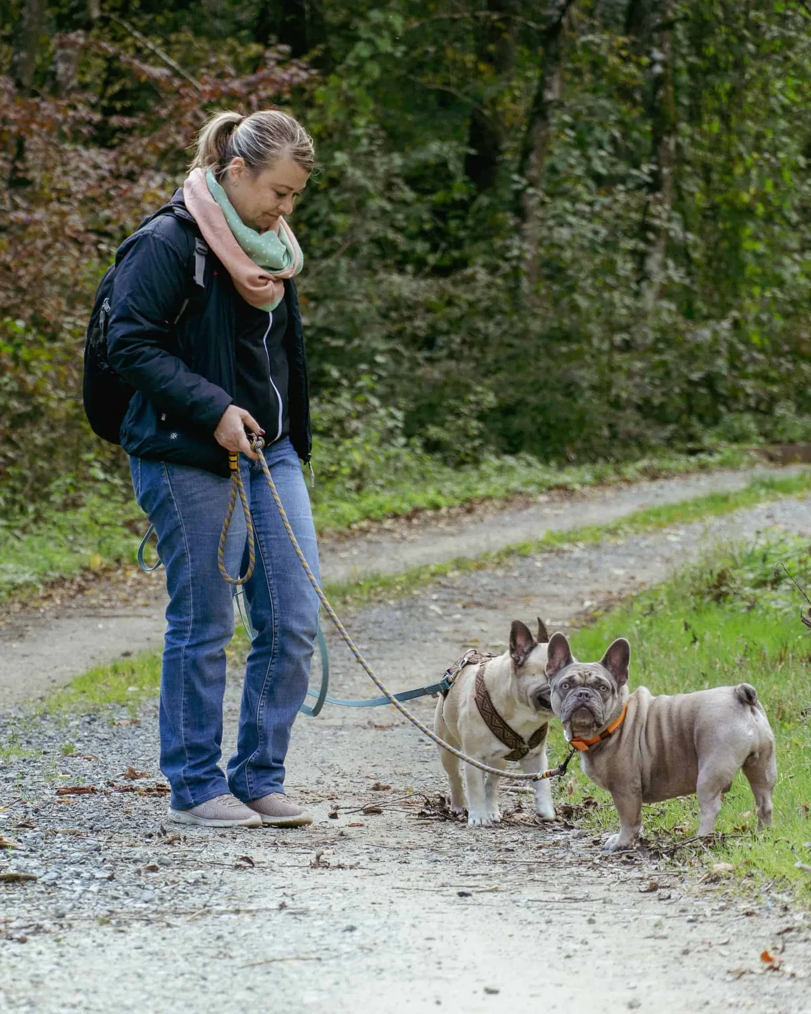 Babsi, Murphy und Archie am Rundweg beim Stausee Urbersdorf